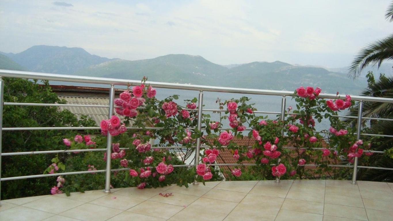 Natalie Apartments Tivat Exterior foto