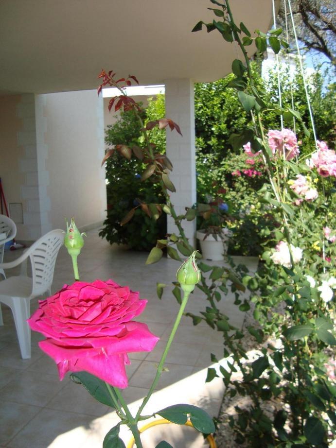 Natalie Apartments Tivat Exterior foto