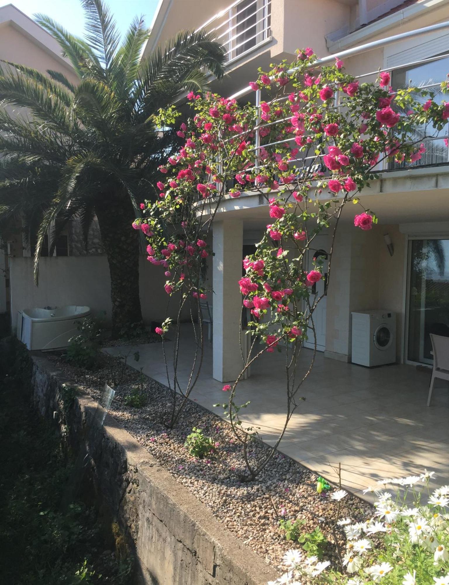 Natalie Apartments Tivat Exterior foto